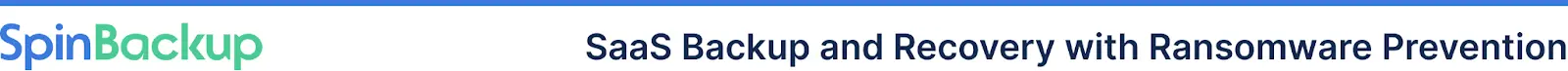line break graphic with blue and green SpinBackup logo