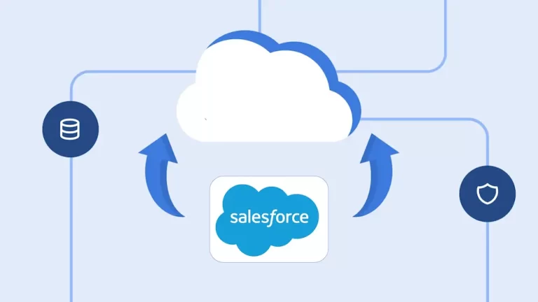 How to Back Up Salesforce Data: A Complete Guide