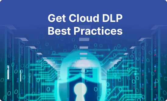 Data Leak Best Practices | Spin.AI Spin.ai data leak prevention