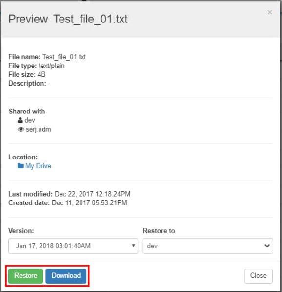 Restoring a file using the Spinbackup Restore In Time Machine functionality