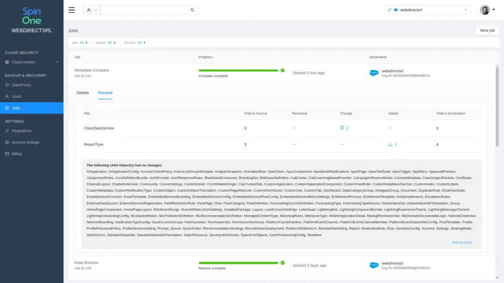 Salesforce Data Recovery