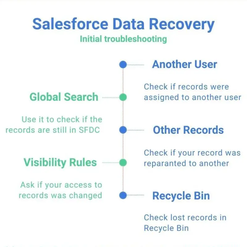 Salesforce data recovery