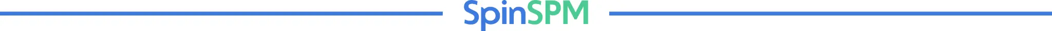 SpinSPM | Spin.AI Decorative line break of SpinSPM