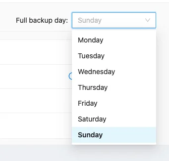 Salesforce Backup Configuration | Spin.AI Screenshot showing Salesforce backup configuration options in SpinOne
