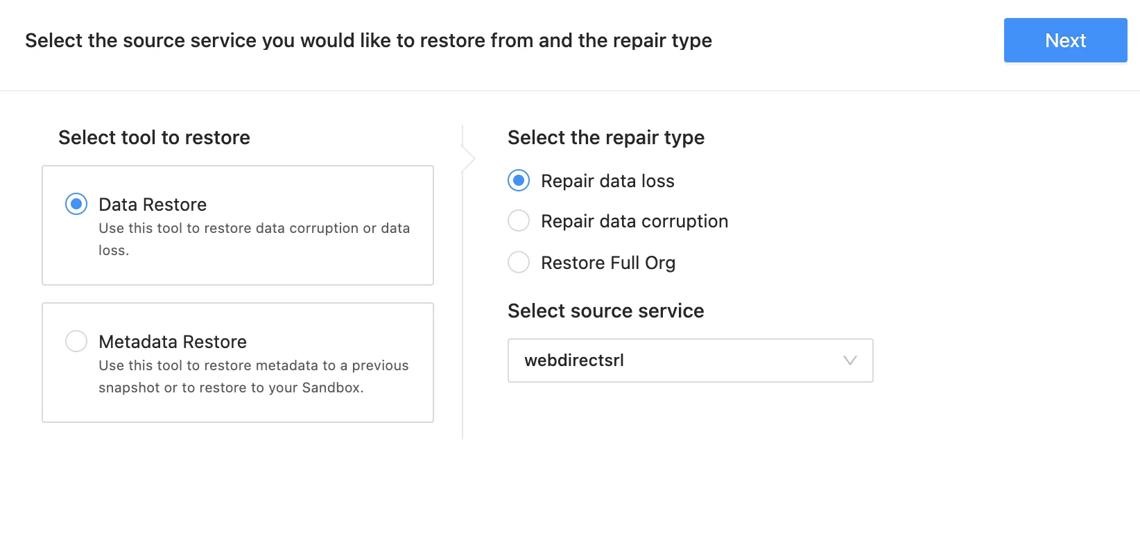 Salesforce Backup Restore Interface | Spin.AI Desktop screenshot of Salesforce backup restore interface showing data recovery options