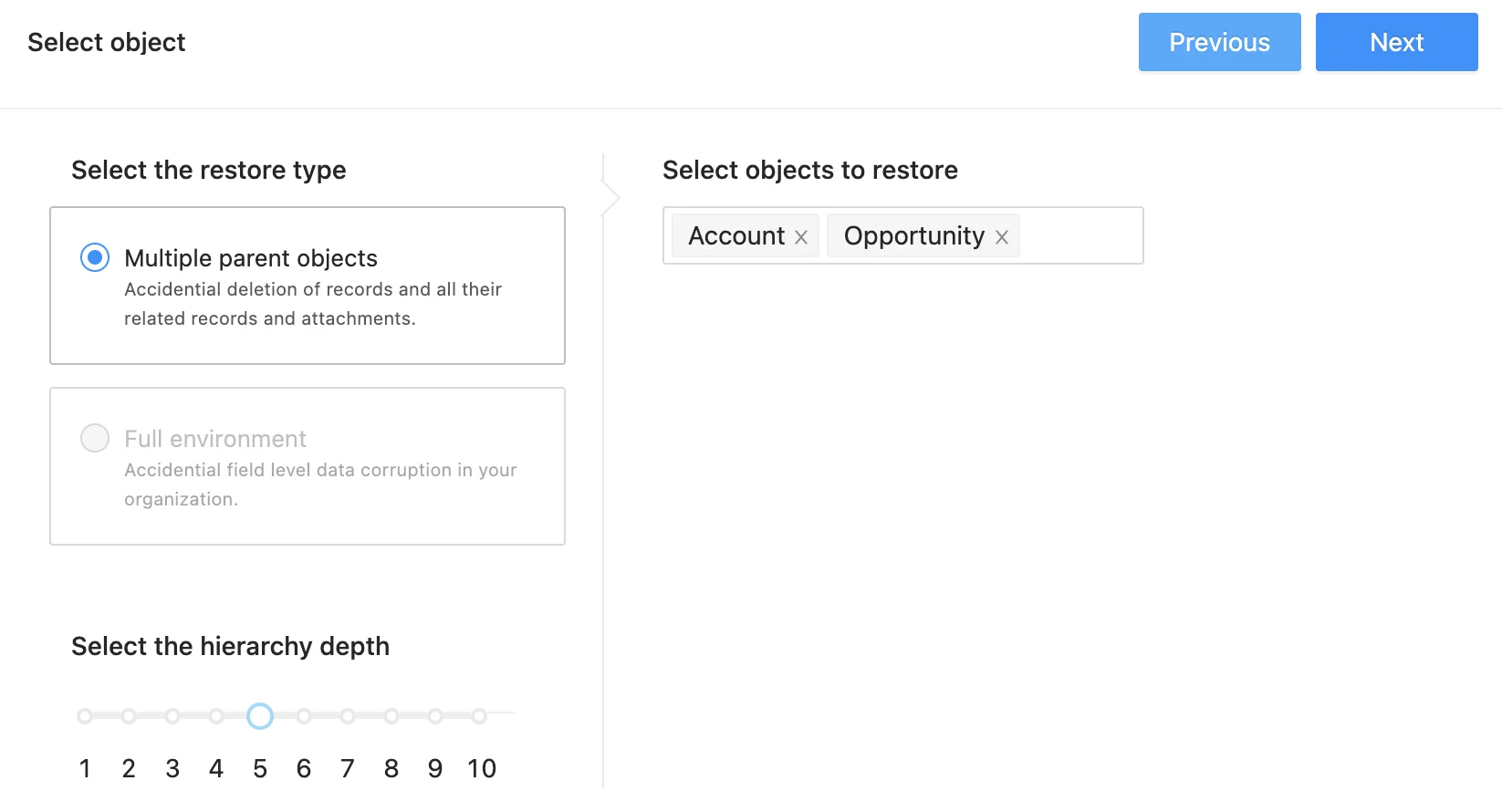 Salesforce Backup Restore Options | Spin.AI Screenshot displaying options and settings for restoring Salesforce backup data