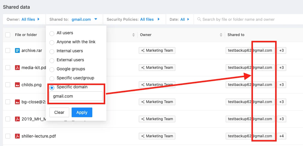Shared to Domain Feature | Spin.AI Spin.AI shared to domain security feature screenshot