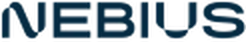 netskope — Spin.AI customer Blue text logo on a dark blue background; the text is not legible at this size.